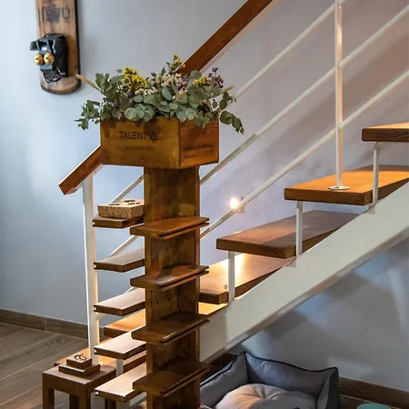 Gospodarstwo wiejskie Jerusalem - *